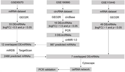 Decoding competitive endogenous RNA regulatory network in postoperative cognitive dysfunction